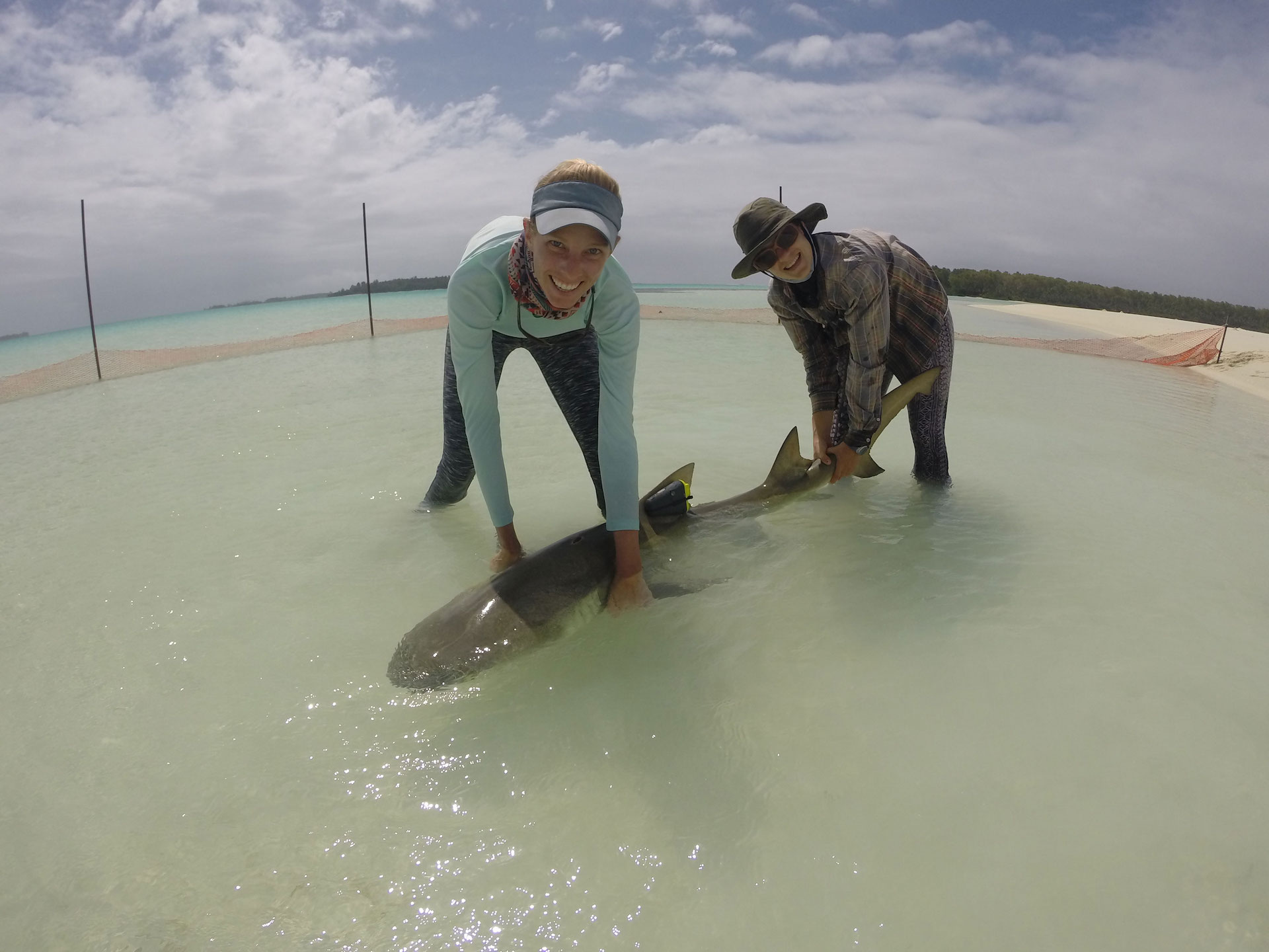 DALY_R Kerryn Bullock Clare Daly lemon shark Seychelles