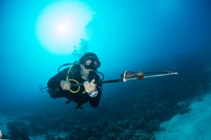 Lauren Peel Manta Research Seychelles