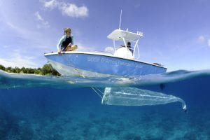 Photo by Guy Stevens | © Save Our Seas Foundation