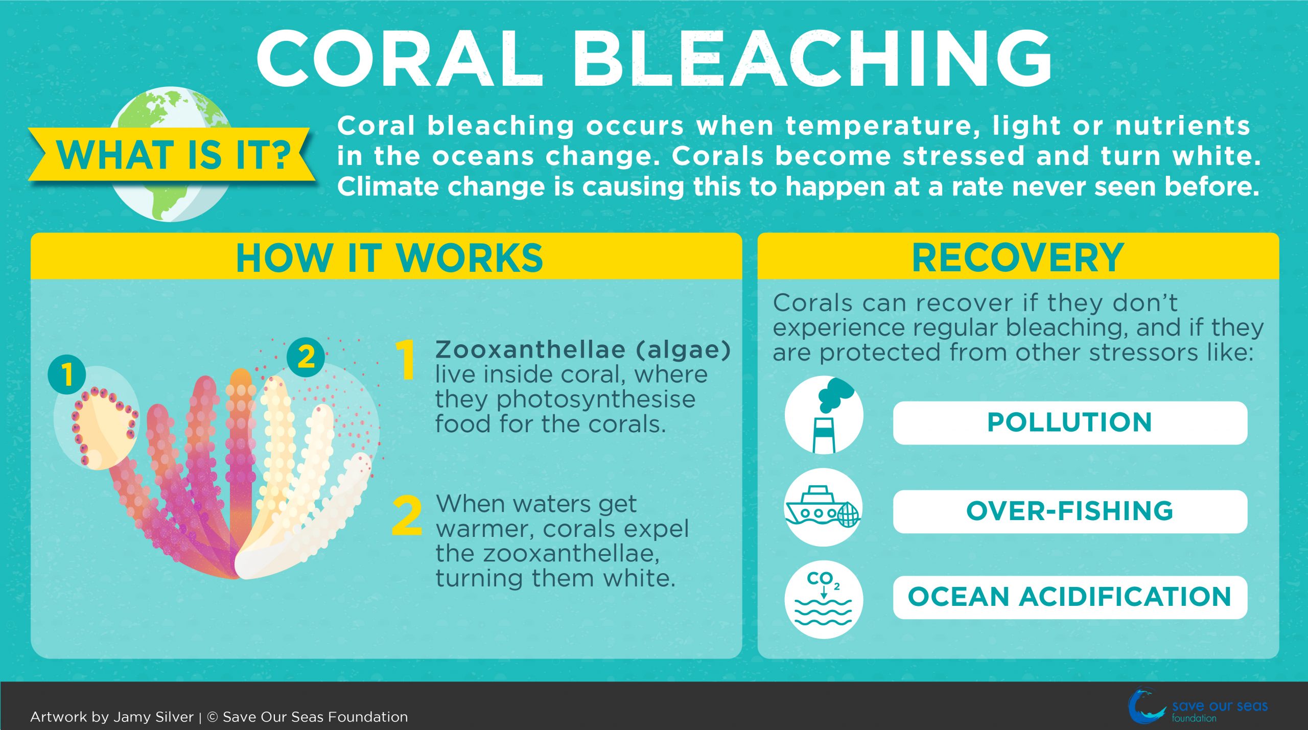 Coral Bleaching - SOSF D'Arros Research Centre