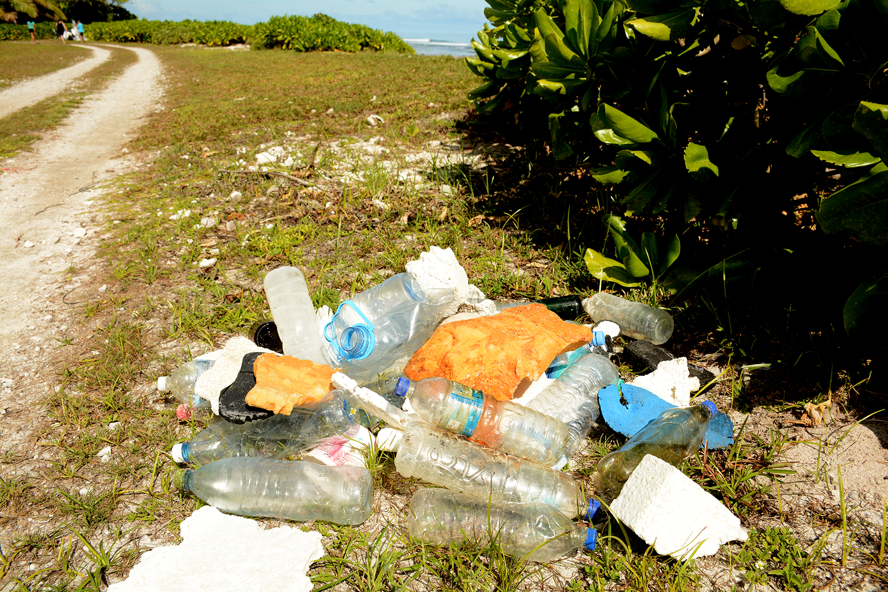 D'Arros Experience The dangers of littering SOSF Island School