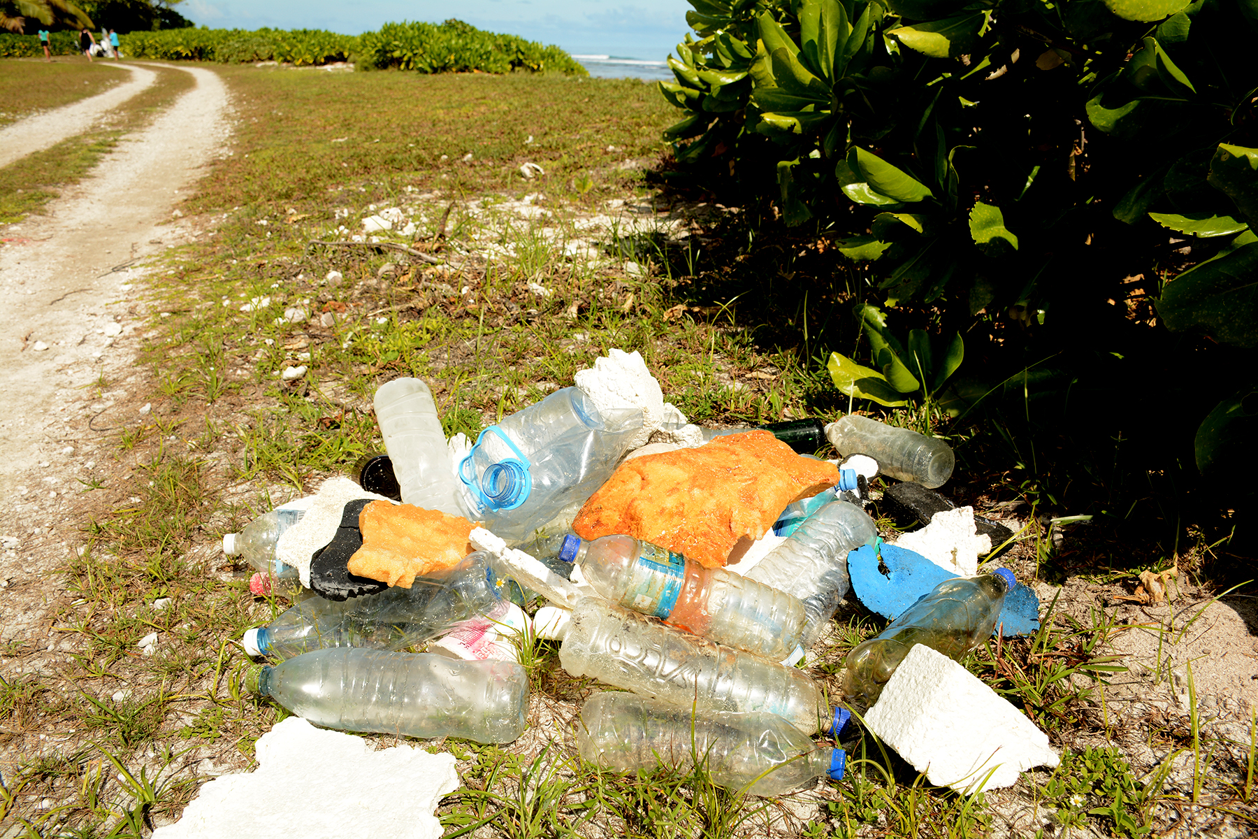 D'Arros Experience: The dangers of littering | SOSF Island School ...