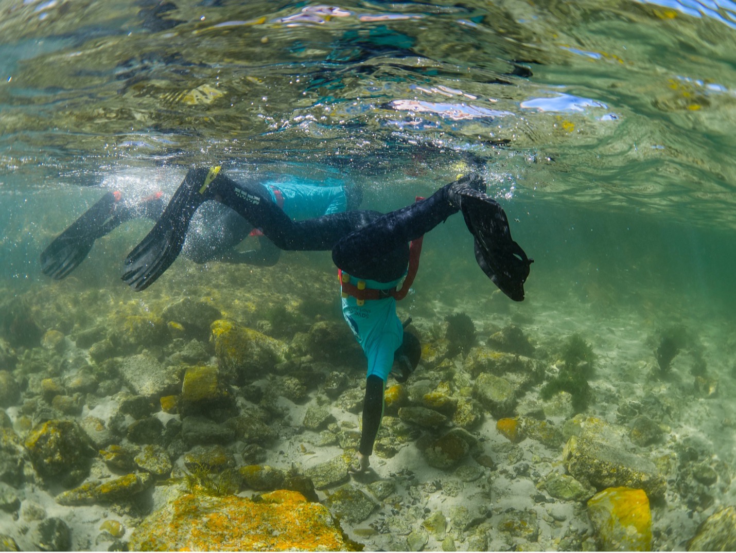 A curious learner diving down to pick up a seashell while snorkelling at the Miller’s Point tidal pool. Image by Danel Wentzel.