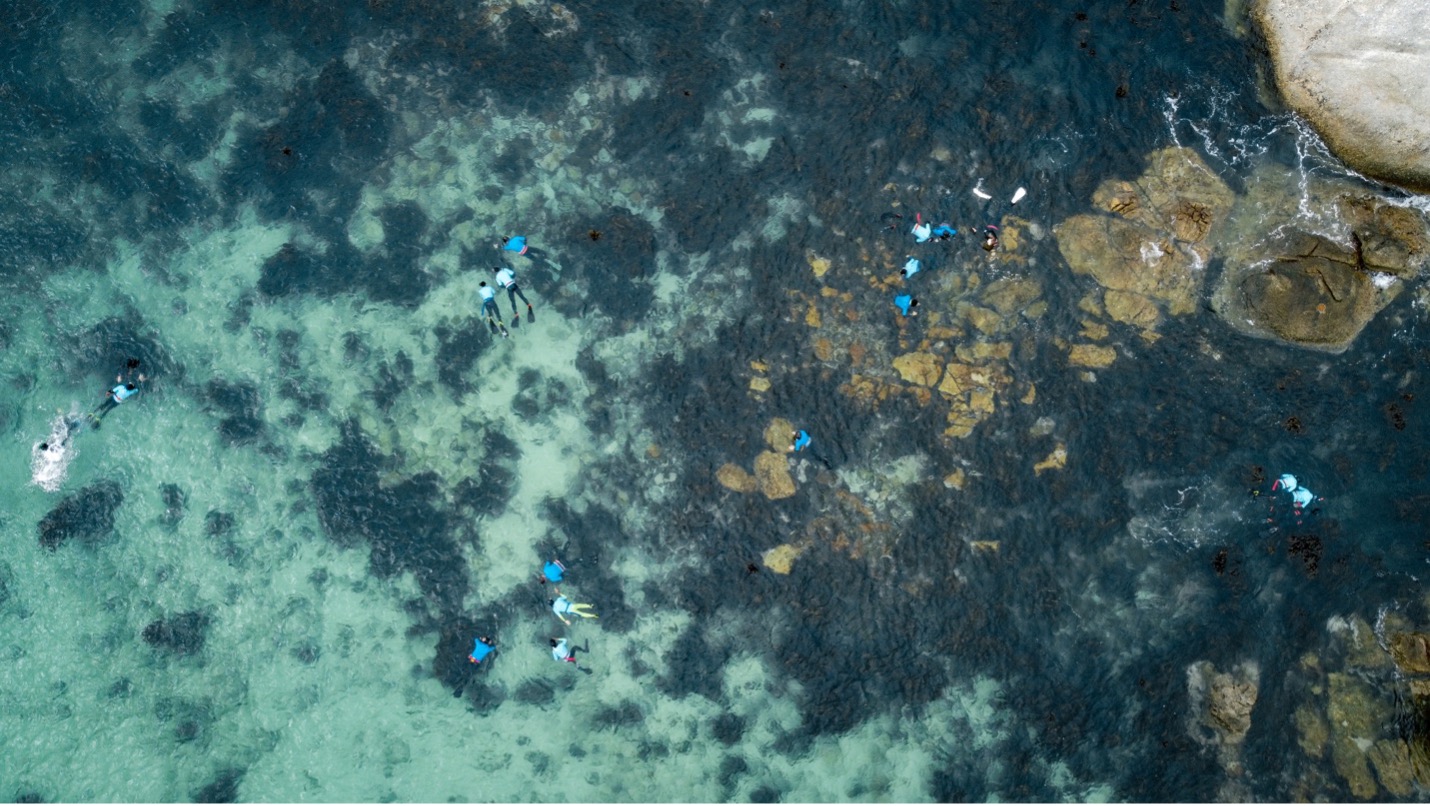 An aerial view of our Marine Explorers at Windmill Beach, led by guides from Pisces Divers alongside our education team. Image by Danel Wentzel.