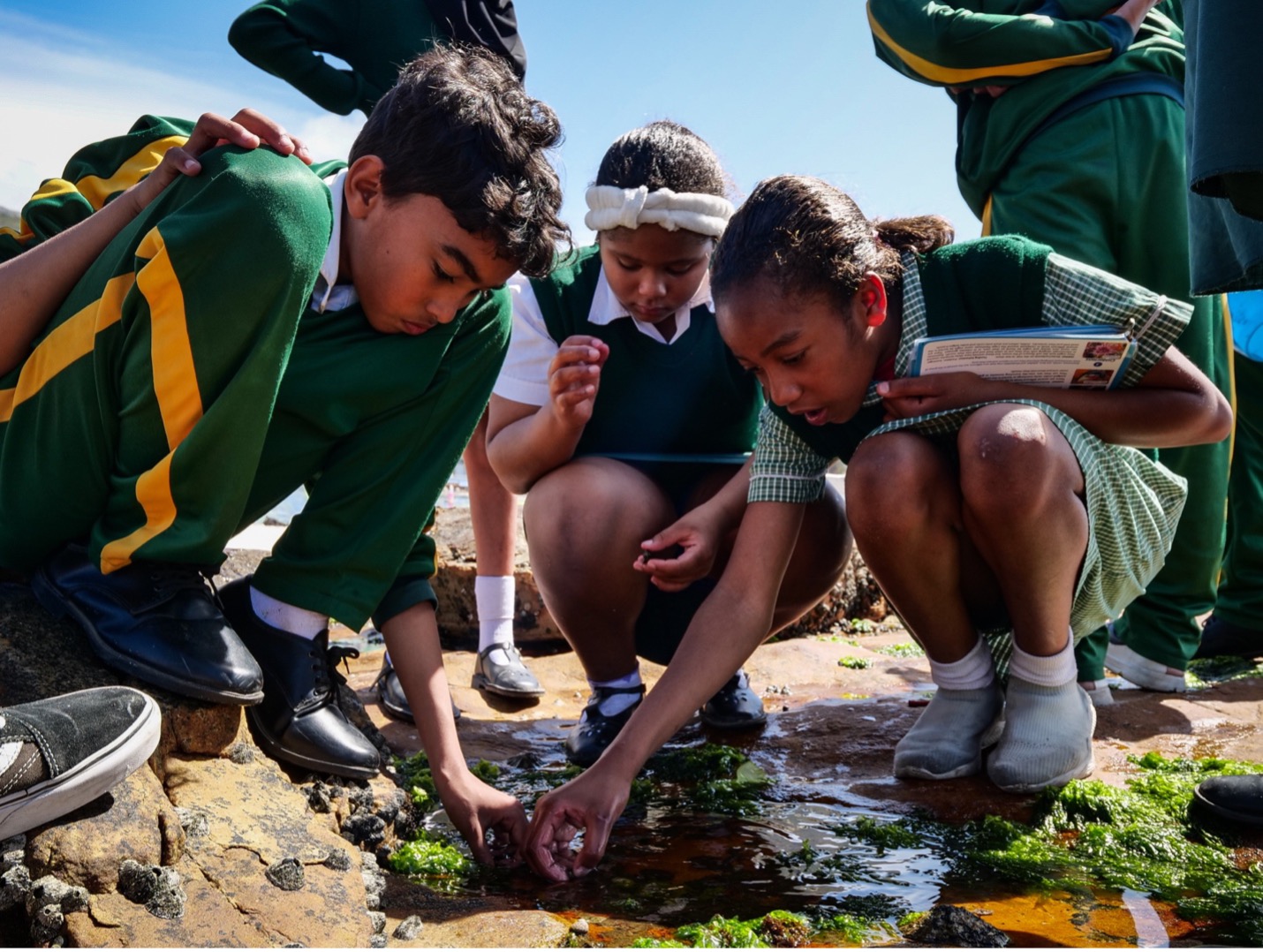 Depending on the weather and tides, lessons might include an interactive tour of the Dalebrook rocky shore ecosystem. Image by Danel Wentzel.