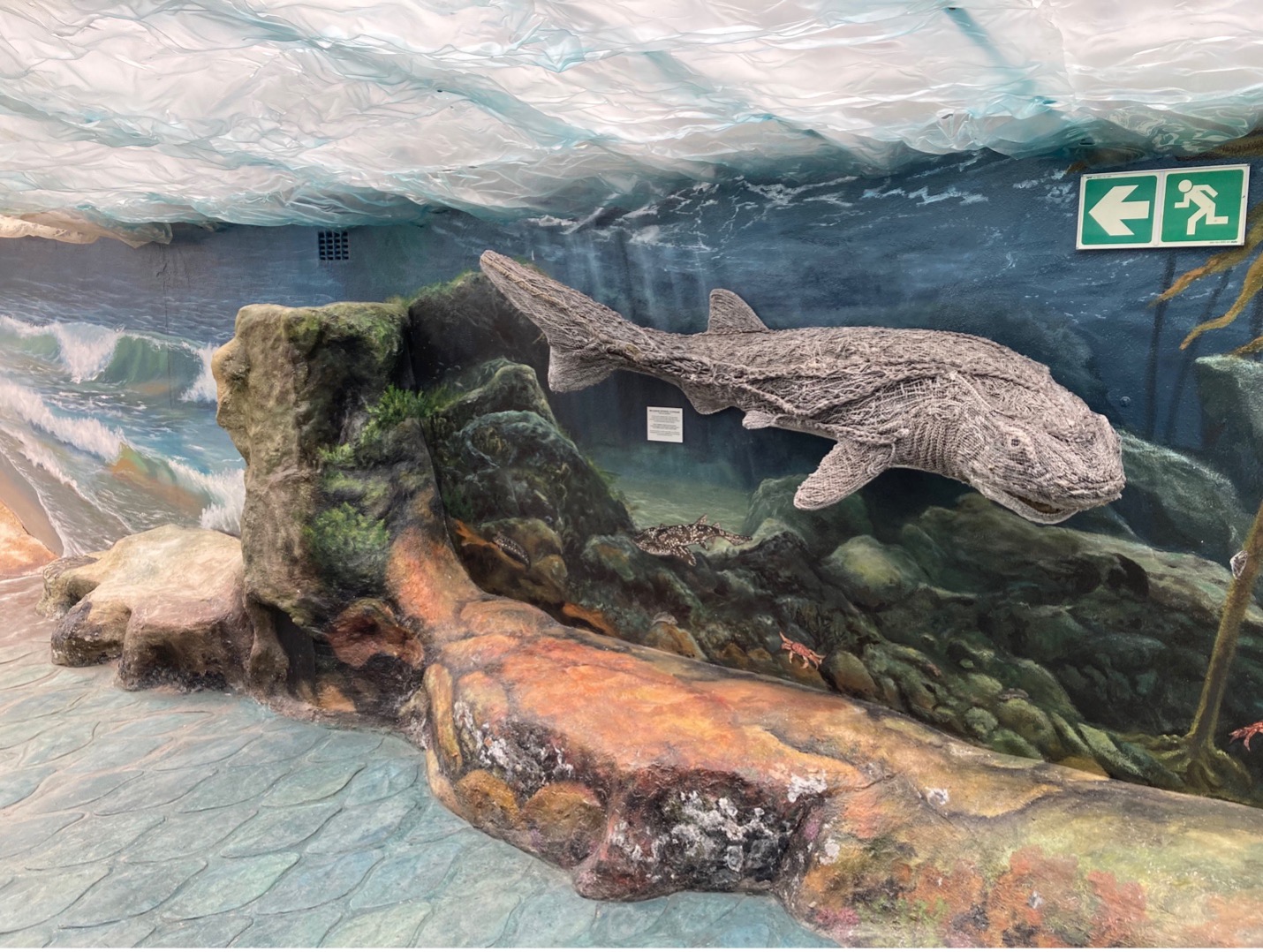 At our centre, we want to create a unique immersive experience for learners while keeping the environment in mind. This sevengill cowshark sculpture is made from old ropes, washed up on beaches. Image by SOSF Shark Education Centre.