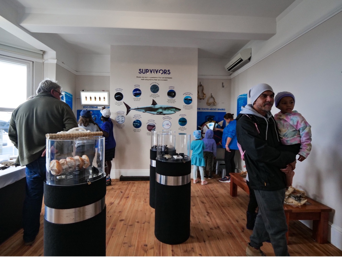 The general public can enjoy free guided tours of our facilities, including interactive exhibit spaces like our Shark Central. Image by Danel Wentzel.