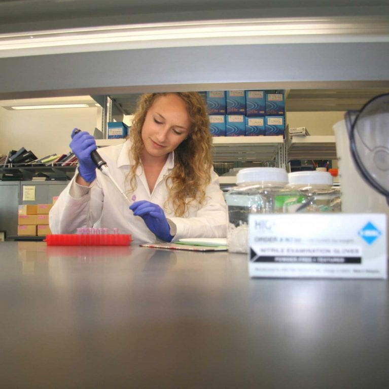 At the SOSF–Shark Research Center samples are analysed by scientists and students working in the lab. Cassandra Ruck, a Master’s student, is conducting genetics research on the oceanic whitetip shark. 