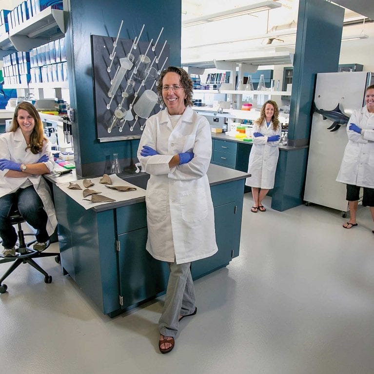 Some members of the SOSF–Shark Research Center team in the lab. From left to right: Teagen Gray, Christine Testerman, Kimberly Atwater Finnegan, Alexandria Pickard.