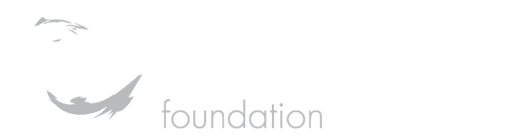 Save Our Seas Foundation logo