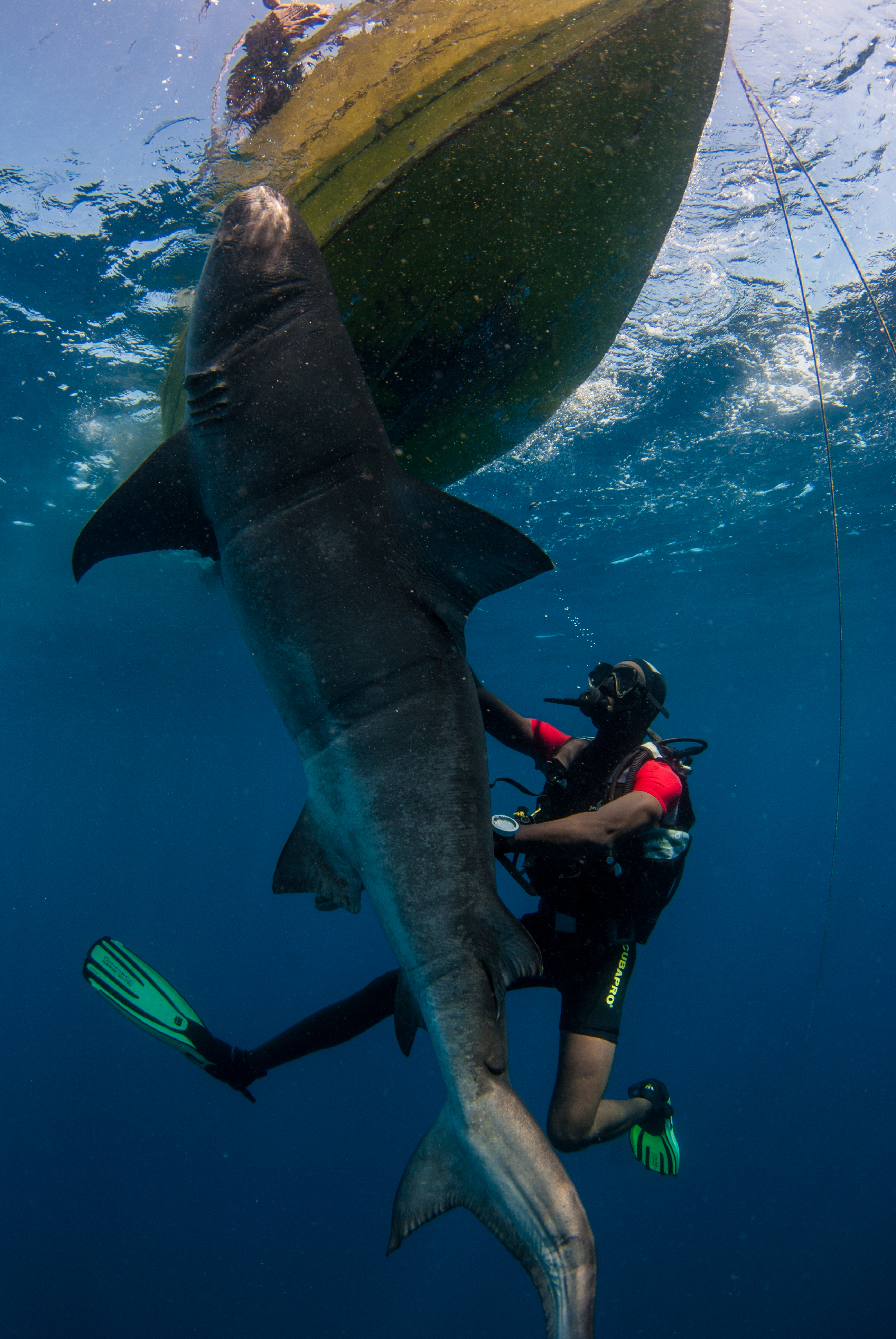 Carlos Macuacua making the shark finning documentary Shiver.