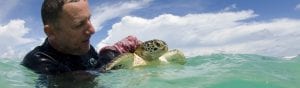 PILCHER Nick - Sea Turtles Malaysia