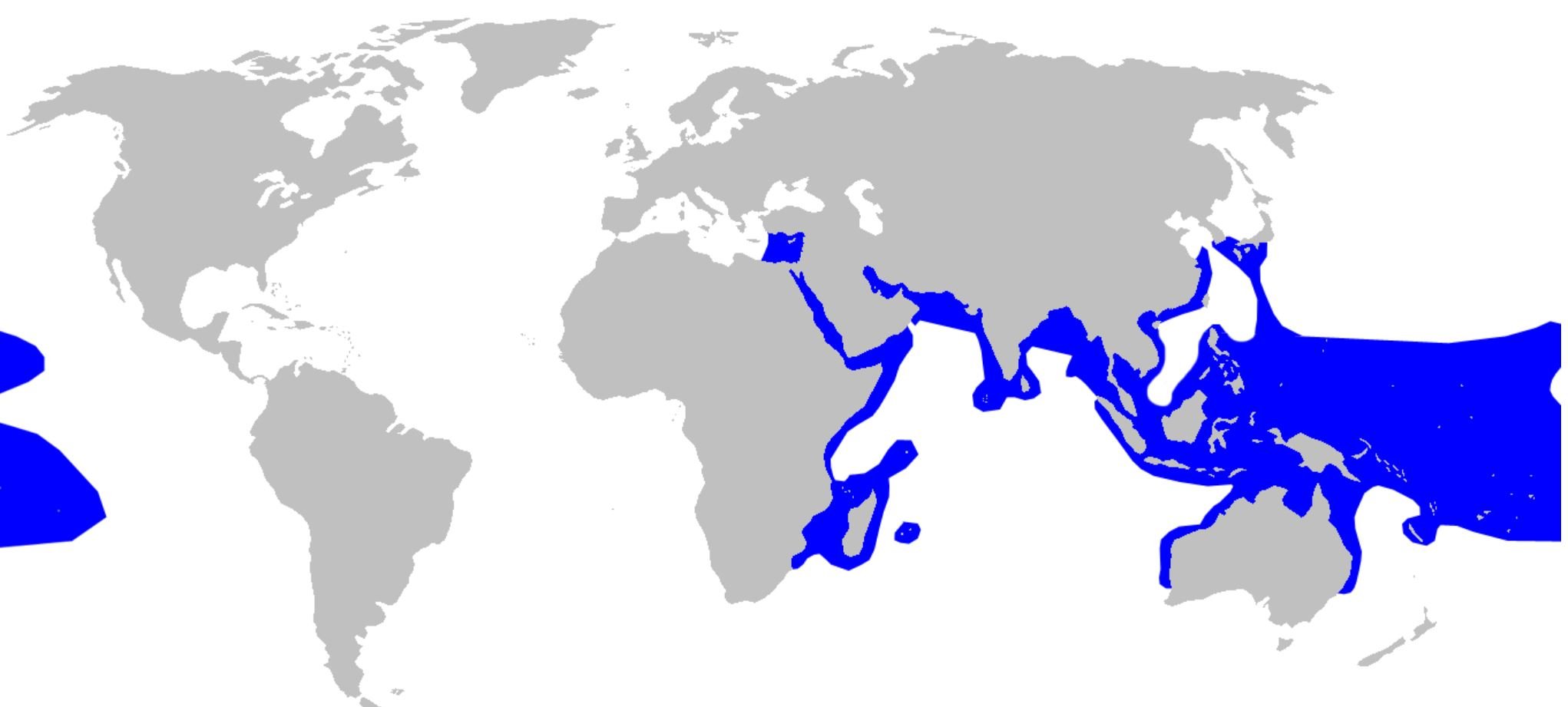 The distribution of the blacktip reef shark is shown in blue.