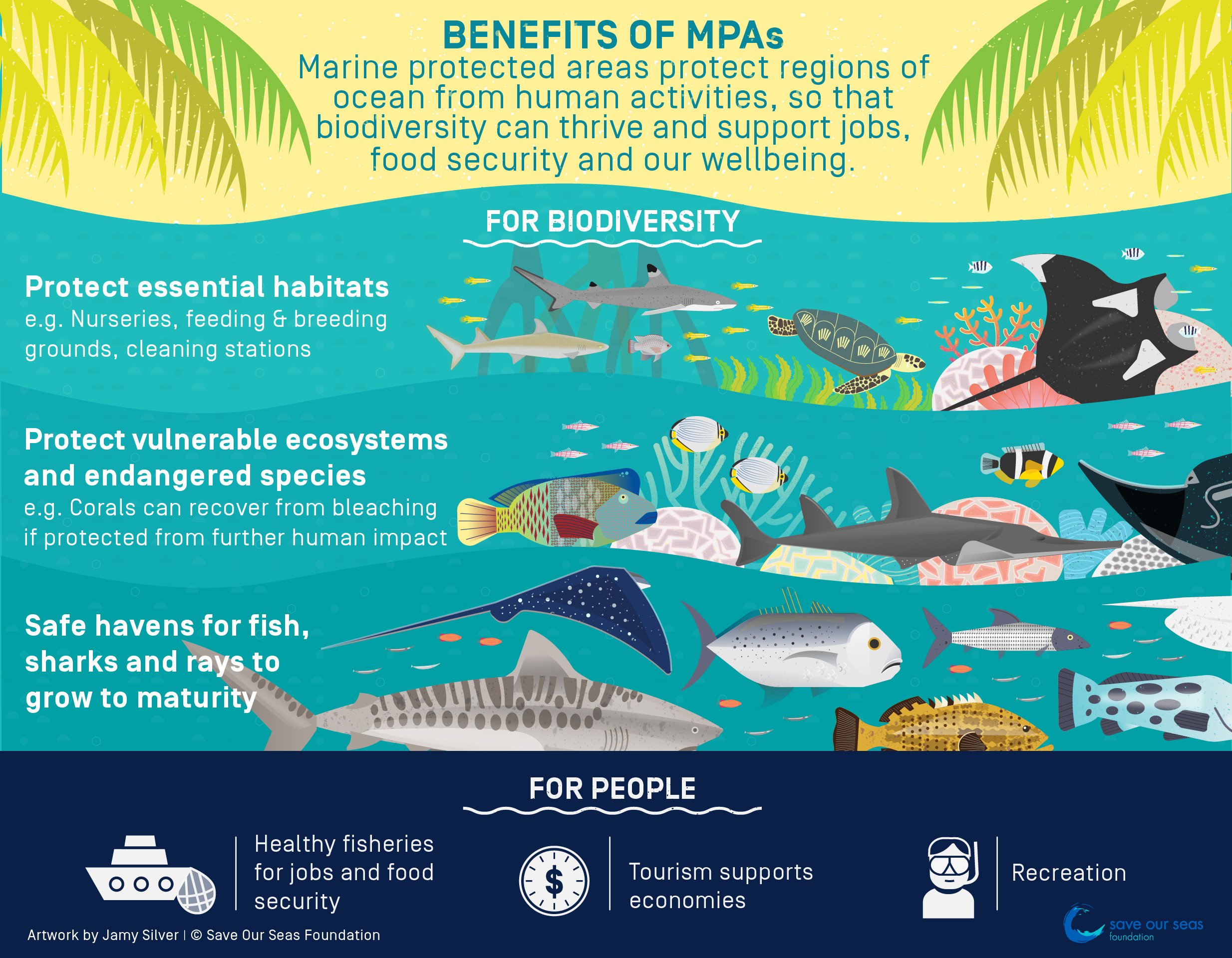 Benefits of Marine Protected Areas