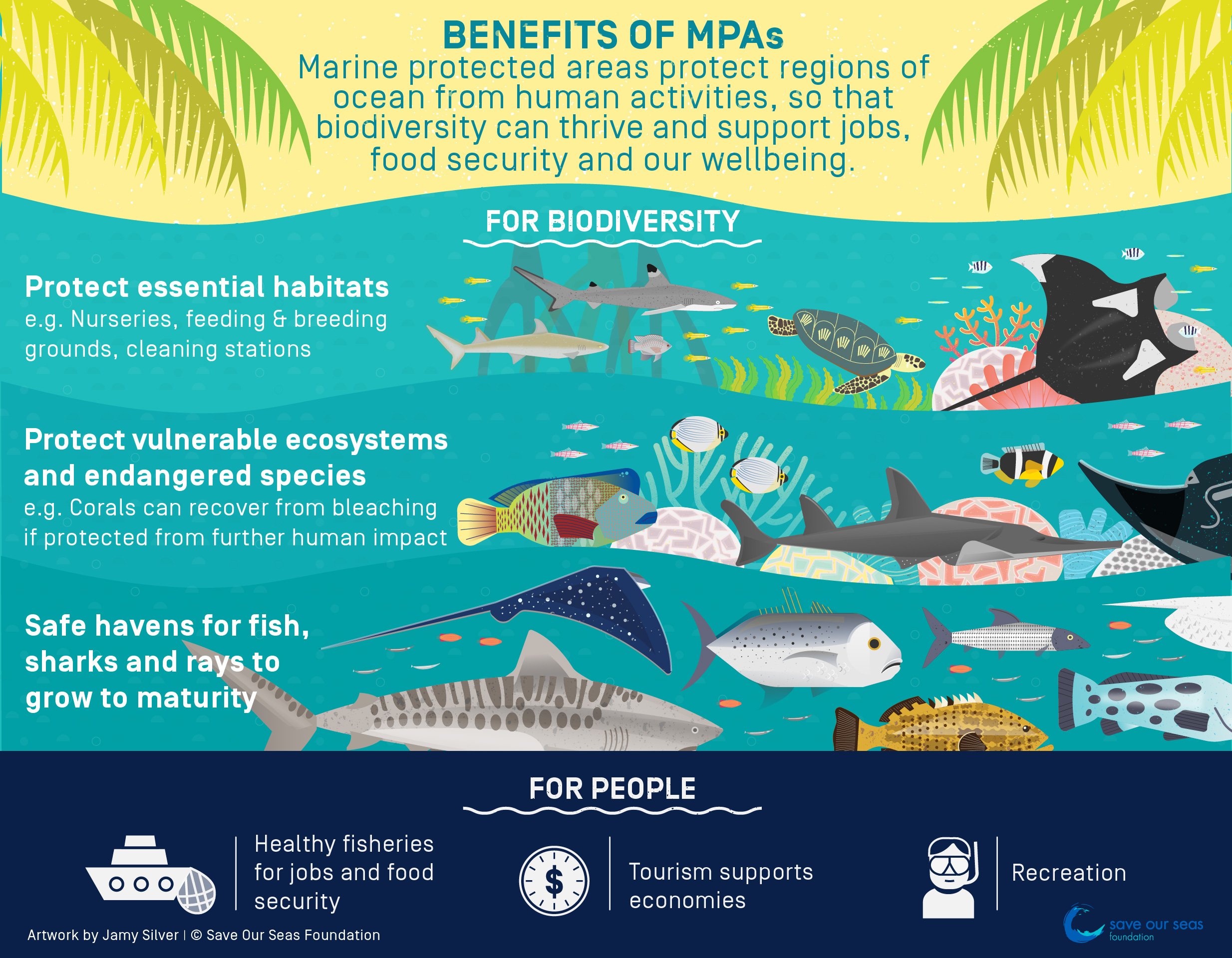 Benefits of Marine Protected Areas Save Our Seas Foundation