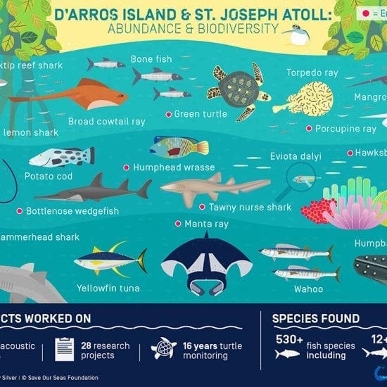 20200324-ThumbIM-SOS-MPA-Infographic_ENG_Biodiversity - Save Our Seas ...