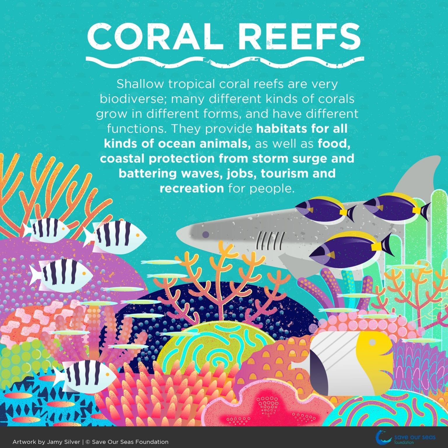 Coral Bleaching Nightmare? Not If This Machine Has Its Way - 2glywz6