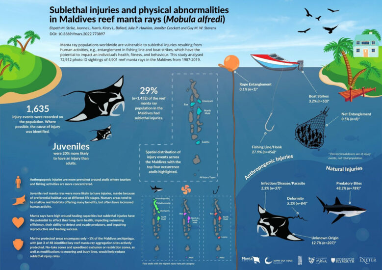 Sublethal injuries to Maldives manta rays - Save Our Seas Foundation