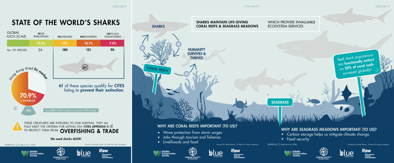 CITES infographic 2_Nicola Poulos (c) Save Our Seas Foundation - Save ...