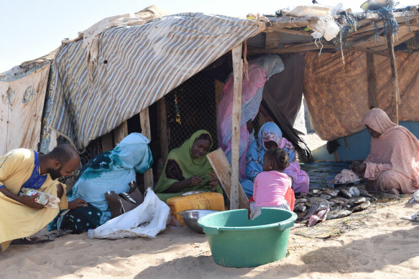 The Lost Sharks And Rays Of Mauritania - Save Our Seas Foundation