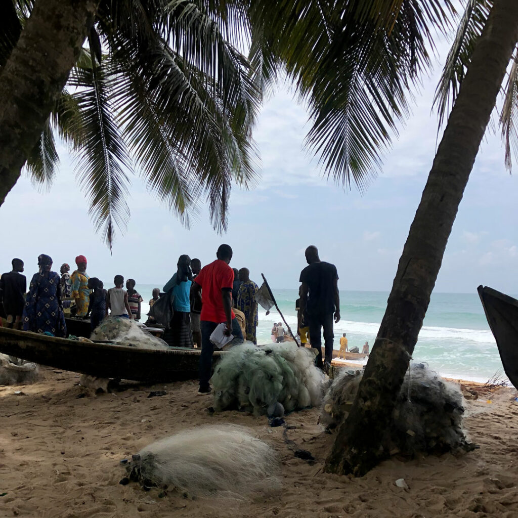 Saving the pincushion ray from danger of extinction Save Our Seas