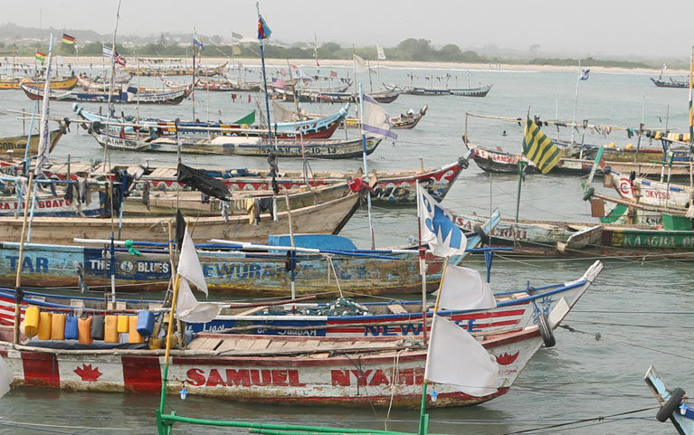 Guarding Sharks In Ghana - Save Our Seas Foundation