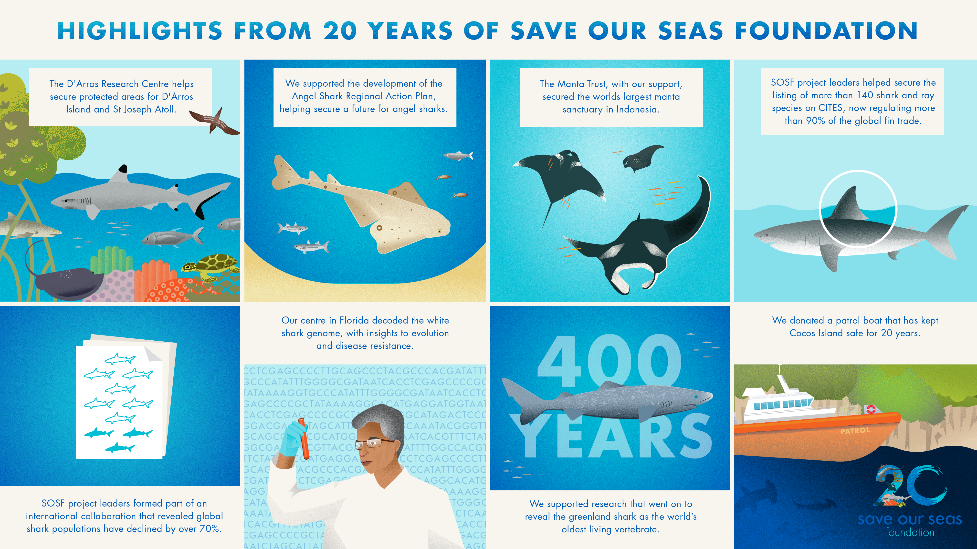 Whale Shark - Save Our Seas Foundation