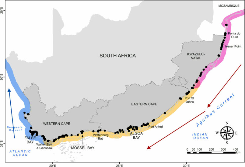 The tip of the movement iceberg - Save Our Seas Foundation