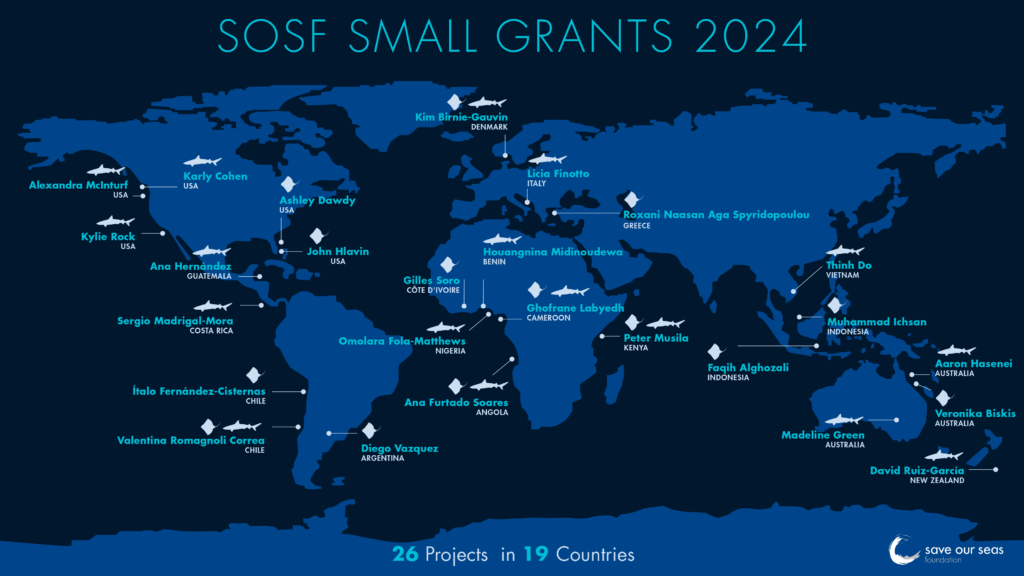 Meet our 2024 Small grant project leaders - Save Our Seas Foundation