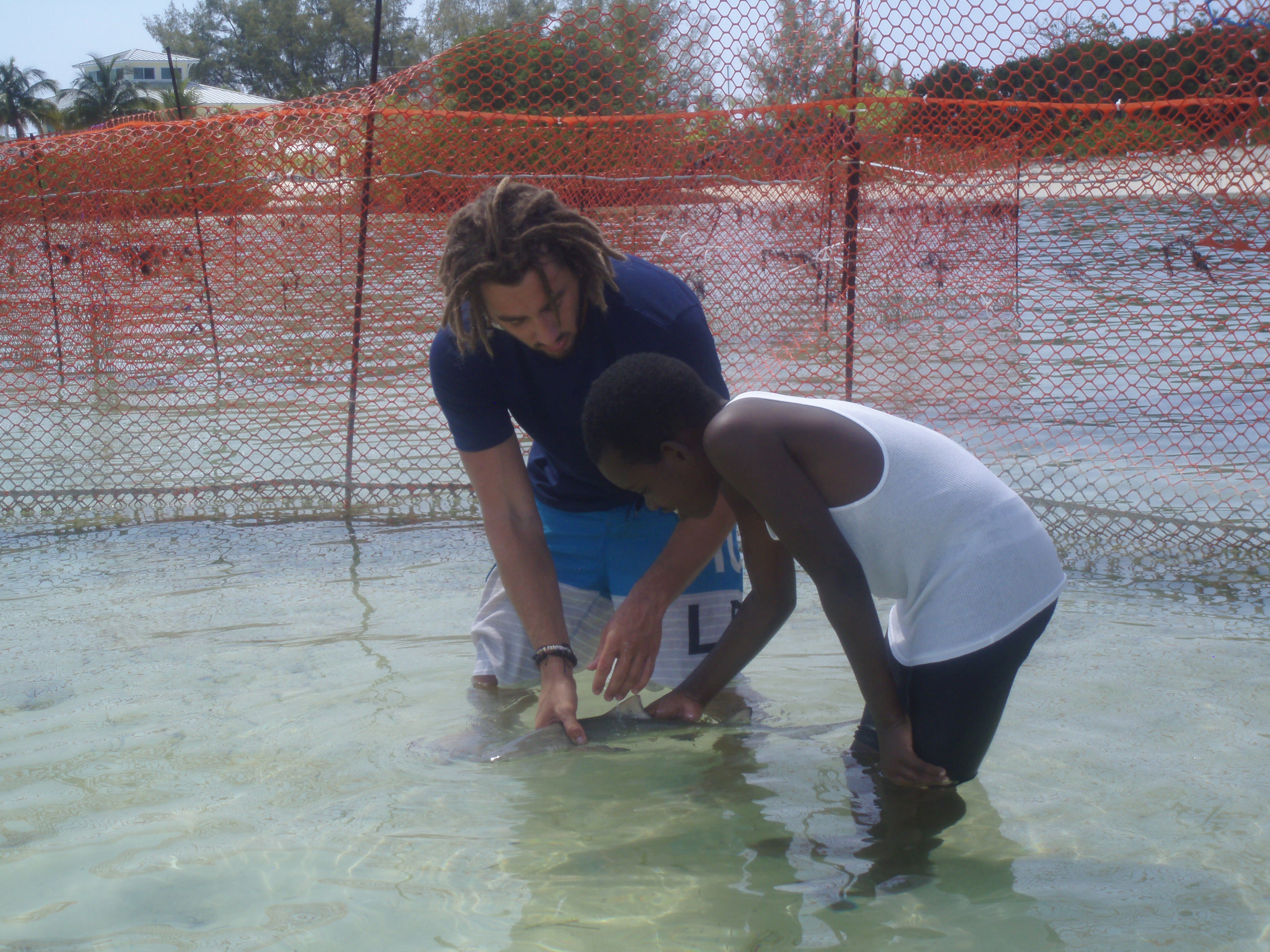  Brian Jr came to the Bimini Biological Field Station for a day to experience life as a marine biologist. Part of his day involved interacting with juvenile lemon sharks as pictured above. Photo by: Christopher Lang
