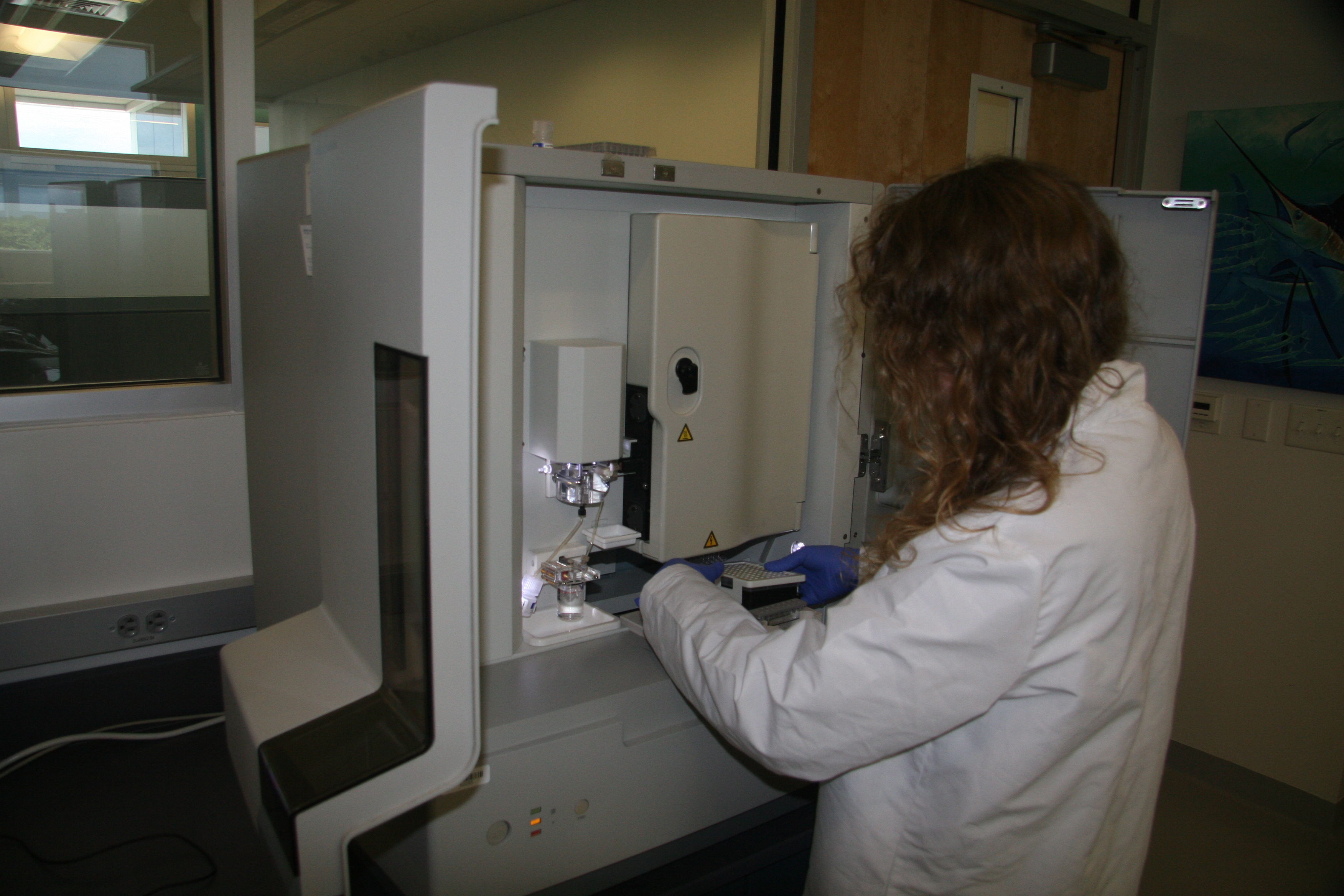  Cassandra Ruck loads a plate of oceanic whitetip genetic samples onto the ABI 3130 Genetic Analyzer to be sequenced. This is at the Save Our Seas Shark Centre USA and Guy Harvey Research Institute at Nova Southeastern University’s Oceanographic Center.