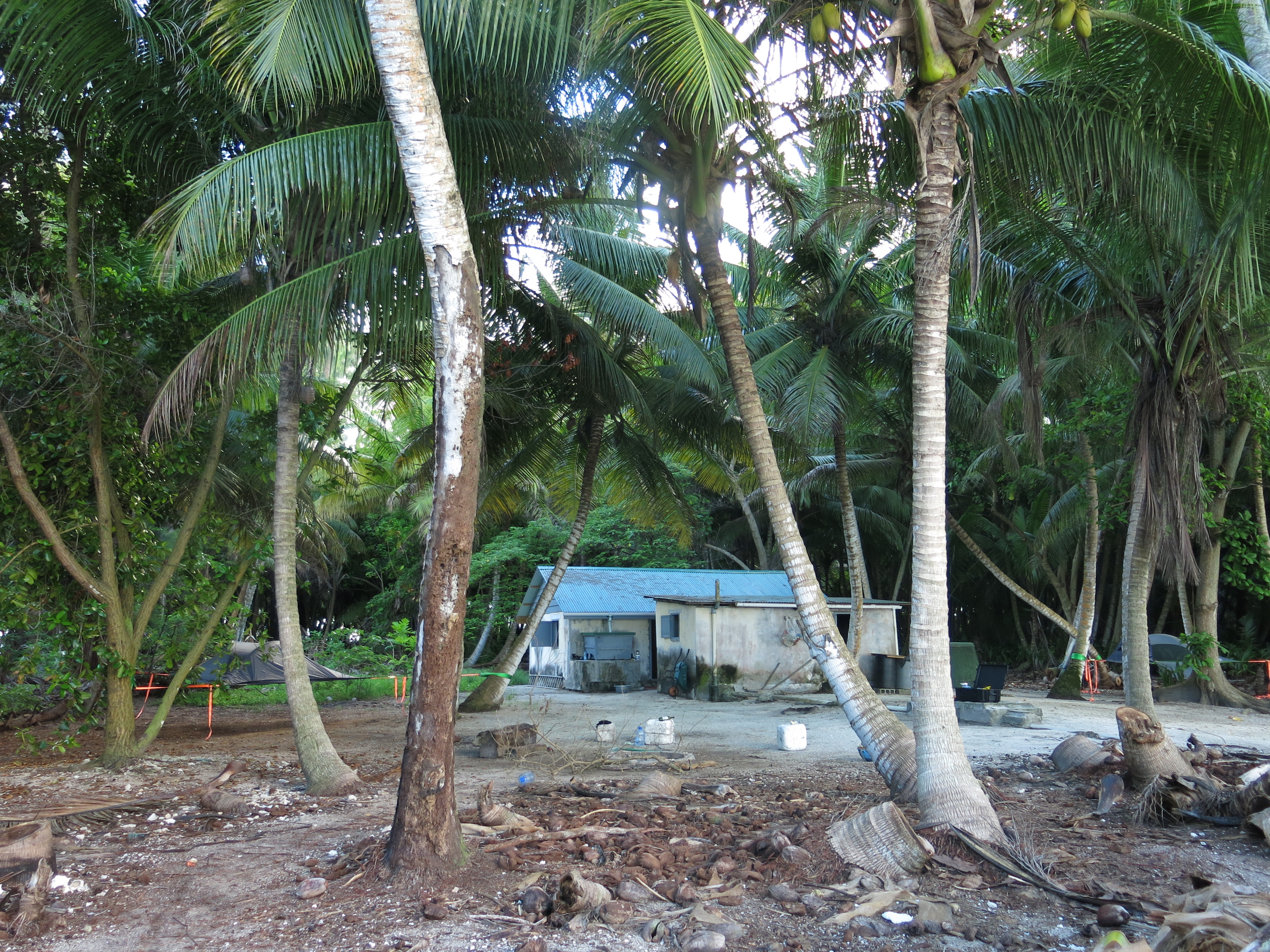  View of the St Joseph camp and the fireplace, seen from the beach. Photo by Sacha di Piazza