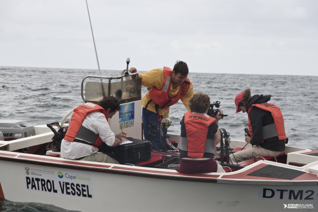 Working with a like-minded team at sea is more peaceful than you'd think: Jean, Wayne and I work together to deploy BRUVs as Lee Otten films for a local conservation TV programme 50/50. Photo: Steve Benjamin.
