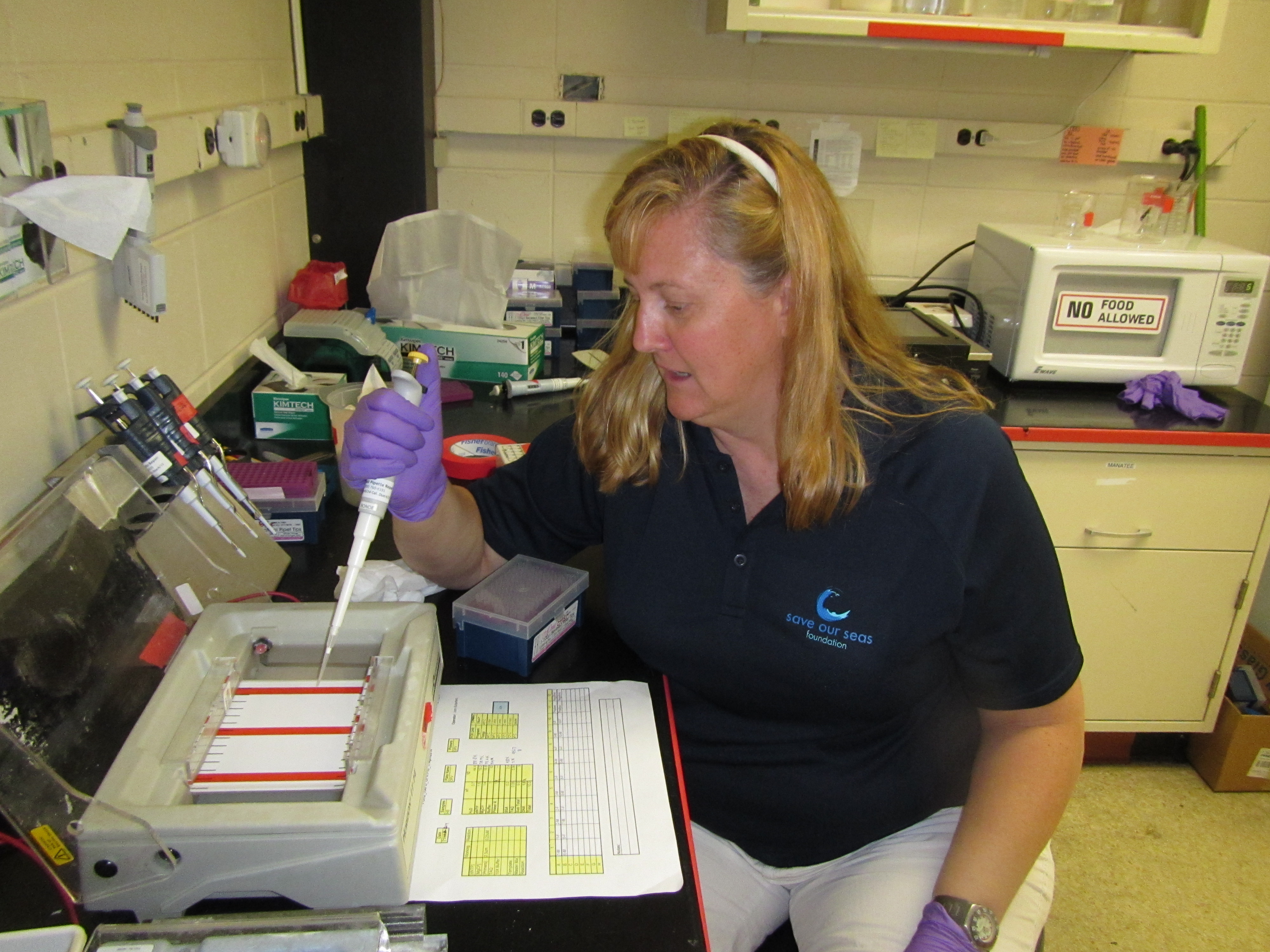  Lucy working in the genetics laboratory to determine where unique manatee populations exist across Africa. 