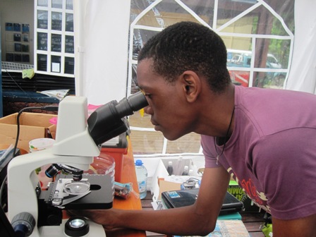 ONeal looking at the plankton sample