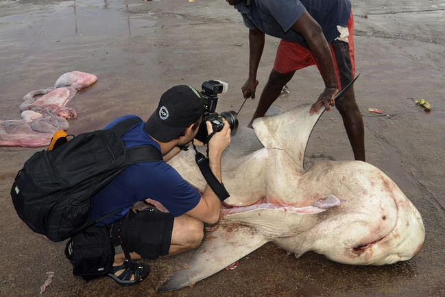 Tom documenting shark fishing in Sri Lanka. Shark populations are being decimated worldwide. Photo © Guy Stevens